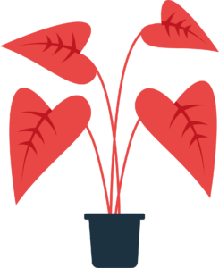 red plant