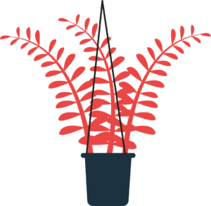 red plant illustration